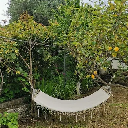 Lemon Tree Garden Near Mirtos Villa *