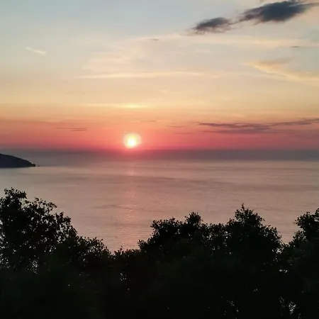 Lemon Tree Garden Near Mirtos *