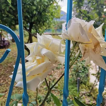 Lemon Tree Garden Near Mirtos Villa *