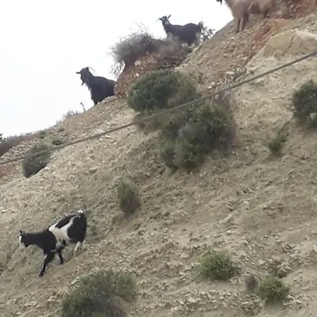 Villa Lemon Tree Garden Near Mirtos *