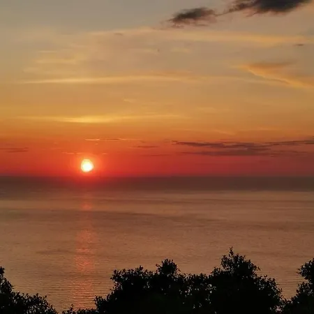 Lemon Tree Garden Near Mirtos Villa