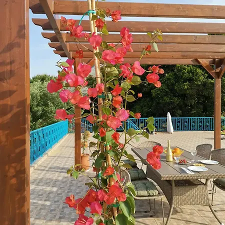 Lemon Tree Garden Near Mirtos *