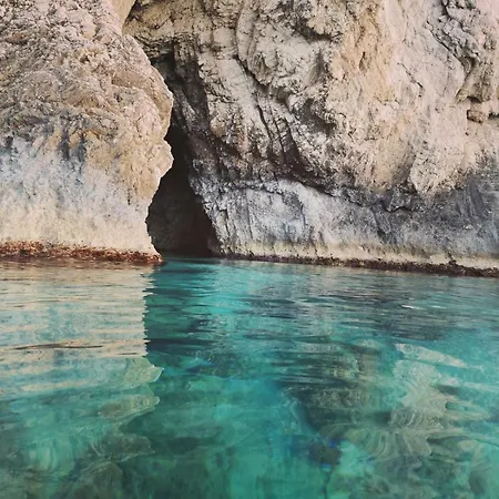 Lemon Tree Garden Near Mirtos