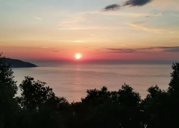 Lemon Tree Garden Near Mirtos *