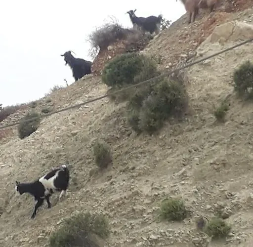 Villa Lemon Tree Garden Near Mirtos *